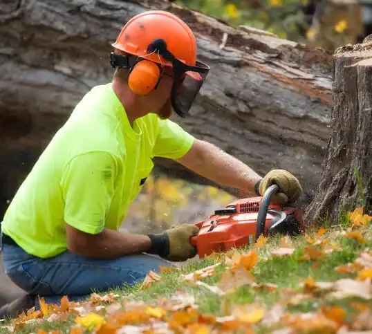 tree services Hurley